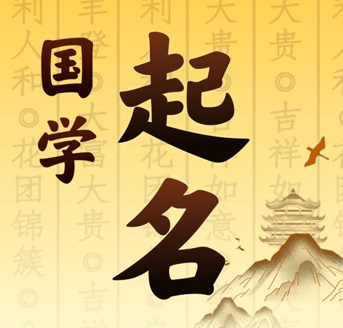 桃城国学起名 人工起名一对一